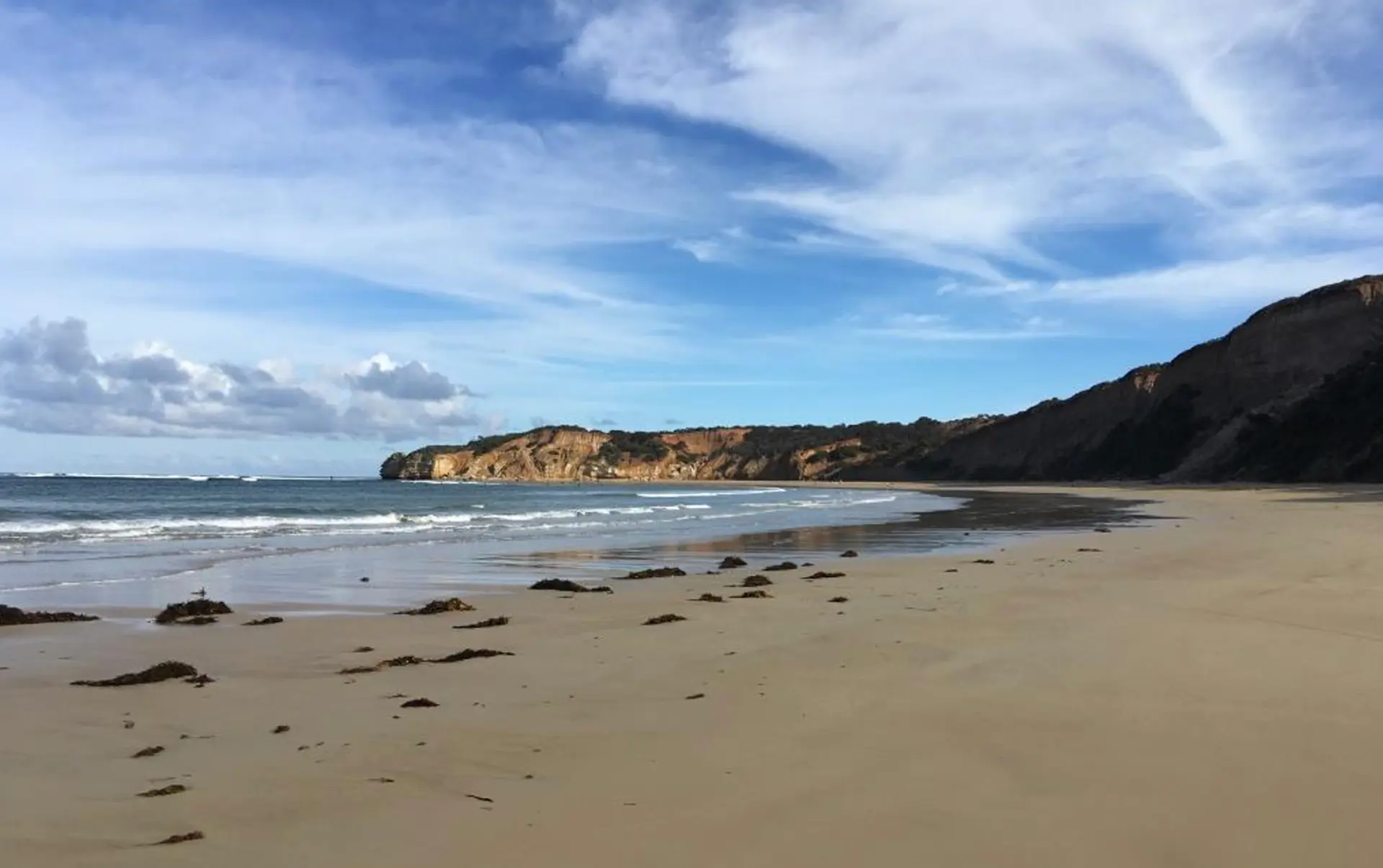 Limestone cliffs and coastal scrub along Wadawurrung sea Country